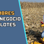 negocio de elotes