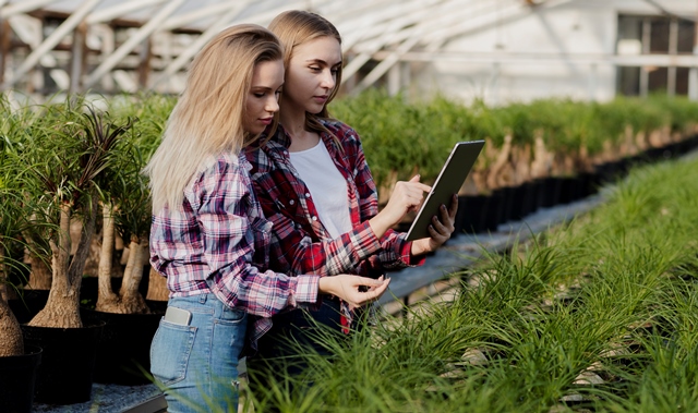 Ideas De Negocios Agroindustriales