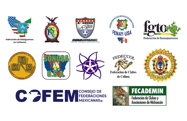 Federación trabaja en proyecto de academias deportivas regionales 1 Affiliations | Afiliaciones copy | Council of Mexican Federations ...