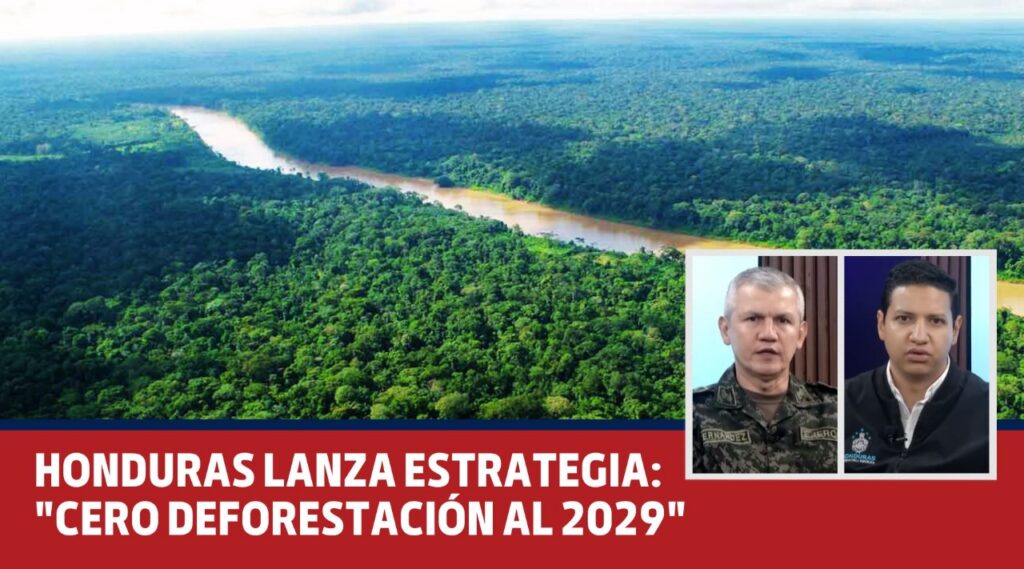 Honduras lanza plan de reforestación para combatir la deforestación 1 Honduras estrategia: Cero Deforestación al 2029 | Mi Nota