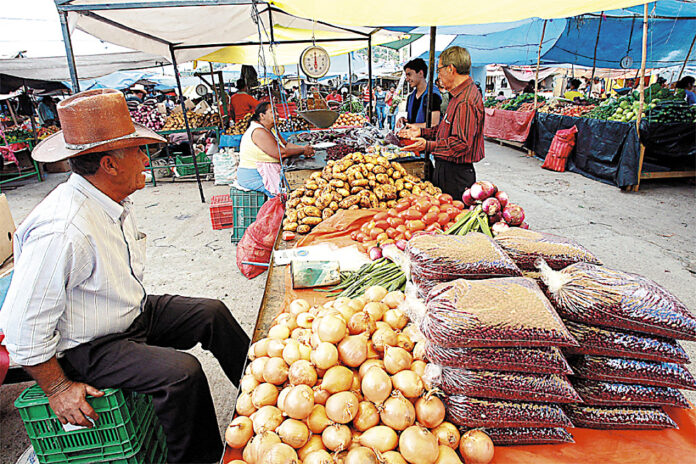 Honduras registra crecimiento sostenido en exportaciones agrícolas 1 Honduras registra un crecimiento del 4.8 % en su economía