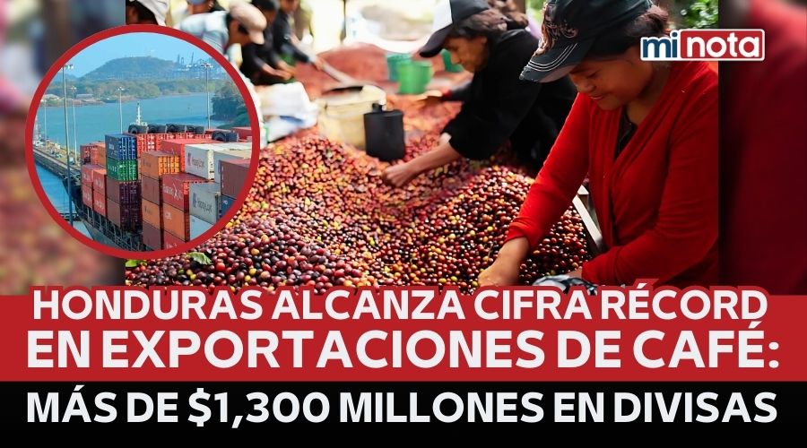 Sector cafetalero proyecta cifras récord en exportación anual 1 HONDURAS ALCANZA CIFRA RÉCORD EN EXPORTACIONES DE CAFÉ: MÁS DE ...
